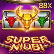 super niubi