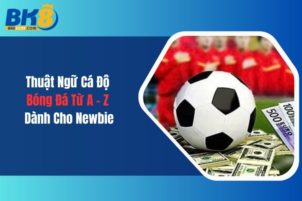 Thuật Ngữ Cá Độ Bóng Đá Từ A - Z Dành Cho Newbie