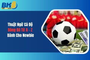 Thuật Ngữ Cá Độ Bóng Đá Từ A - Z Dành Cho Newbie